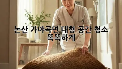 논산 가야곡면 대형 공간 청소🧹 똑똑하게!
