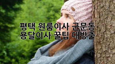 📦 평택 원룸이사, 군문동 용달이사 꿀팁 대방출! 🍯