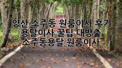 양산 소주동 원룸이사 후기🏠 용달이사 꿀팁 대방출! #소주동용달 #원룸이사
