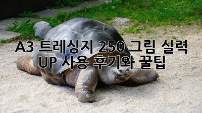 A3 트레싱지 250: 그림 실력 UP! 사용 후기와 꿀팁